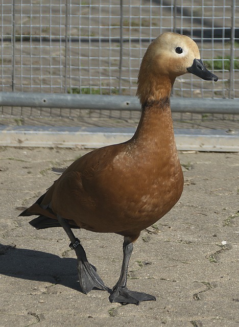 轻松晃过对